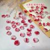 Accesorios para Arte de Uñas de Camelia, Súper Hermosos Resina Bicolor Rosa Noche Oscura Color Caramelo Rosa Pedrería Mixta para Uñas