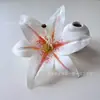 Flor de Lírio em Filme Impressa em 3D Alta Simulação DIY Grampo de Cabelo Flor de Sapato de Celebridade da Internet Grampo de Cabelo Étnico Acessório de Flor Parede de Flores