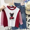 Otoño Nuevo Camiseta Color Block para Niñas 2025 Primavera y Otoño Top Padre-Hijo para Niños Pequeños y Niños Mayores, Manga Larga Empalmada
