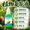 Solução Revitalizante Específica para Plantas Planta em Vaso Flor Crescimento Absorção Ativa para Caules Nus Amarelecimento Queda de Folhas Crescimento Rápido Tipo Geral