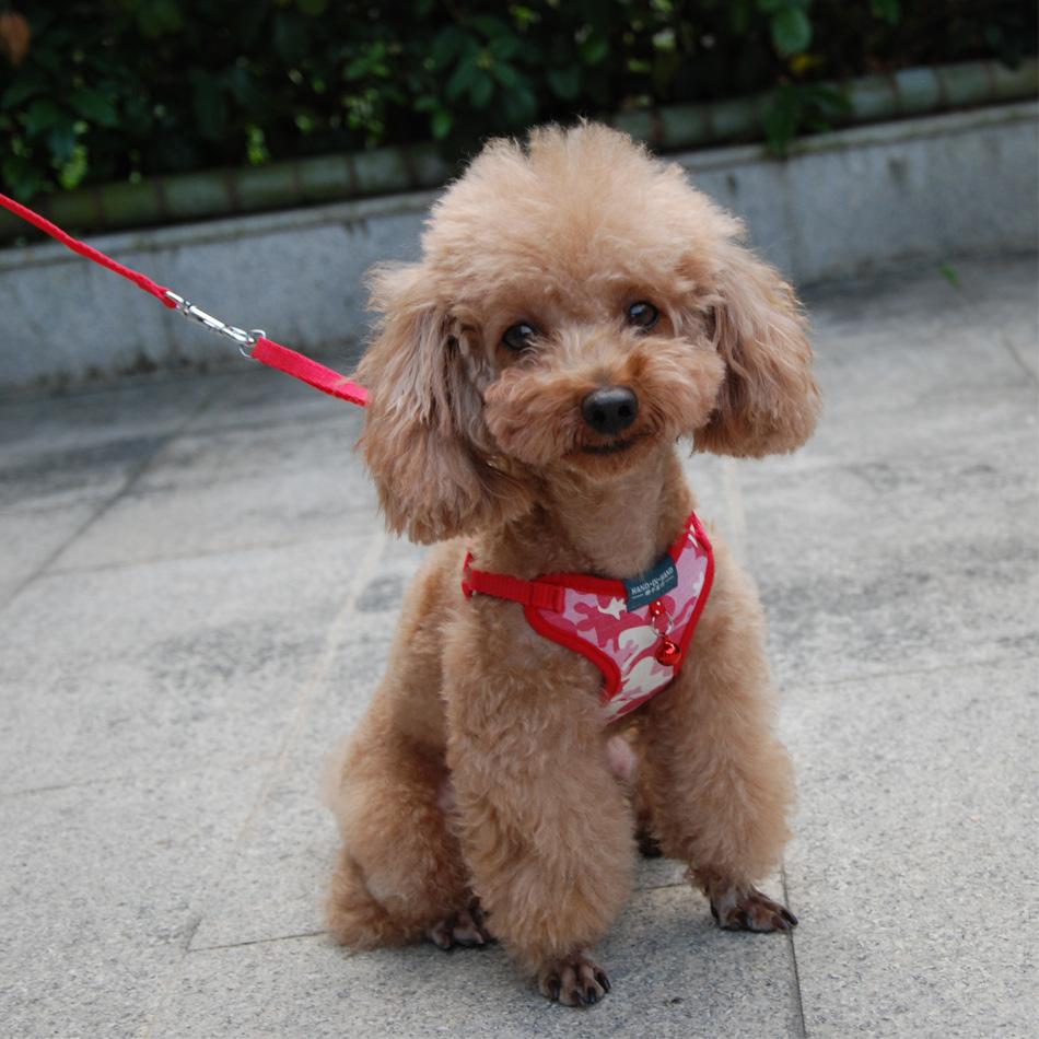 pet products harness vest mesh