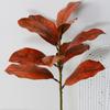 Arreglo floral de simulación de hoja de magnolia, película para hojas, accesorios de hoja de cartón para bodas transfronterizas, pegamento para tela Binghua, Binghua