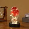 Decoração de capa de plástico de presente transfronteiriço luminoso Céu estrelado flor seca diy luz de corda transparente decoração de mesa luz noturna