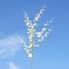 Orquídea Dançarina Grande de 8 Ramos, Orquídea Oncidium, Flor Artificial, Flor Falsa, Decoração de Casa, Fotografia de Casamento, Flor de Decoração Suave