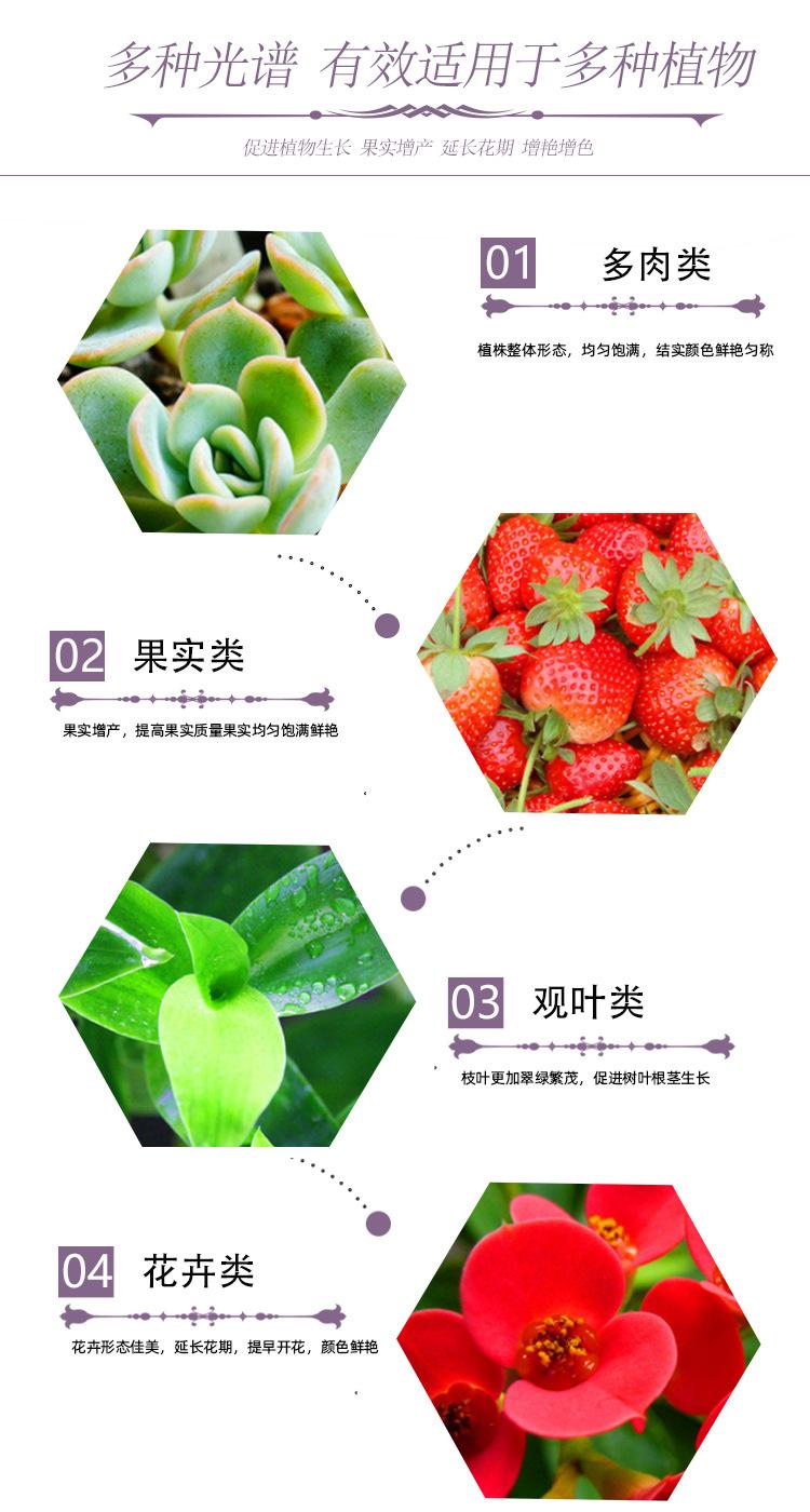 芸茗详情_04.jpg