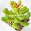 Suculenta Artificial Cabeça de Flor de Suculenta Artificial Bonsai Artificial Acessórios DIY Fabricante Conjunto de Cabeças de Flor de Suculenta Cor Personalizada