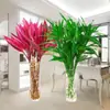 Flores Hidropônicas de Bambu da Sorte, Plantas Hidropônicas de Bambu da Sorte, Plantas em Vasos, Plantas de Guanyin, Purificação do Ar de Ambientes Internos o Ano Todo