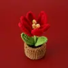 Puesto Callejero Tienda Artesanal Tejido Tulipán Floreciente Planta en Maceta de Lana Estudiante Lindo Aula Adornos de Ganchillo