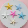 2026 Nuevo Modelo Accesorios de Resina de Estrella de Mar y Conchas para Zuecos, Pinzas para el Cabello, Accesorios para el Cabello, Materiales para Juguetes DIY, Venta al por Mayor desde Fabricante