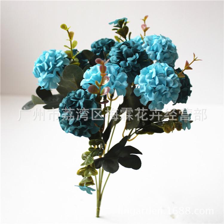 新小圆球花 750