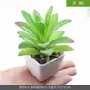 Planta suculenta de simulación en maceta flor artificial mueble de vino mesa adornos pequeños plantas verdes escritorio de oficina sala de estar decoraciones para el hogar