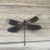 Venta Directa al Por Mayor de Fábrica de Especímenes Reales de Mariposas con Alas Extendidas, Diversos Insectos y Escarabajos, Accesorios para Fotos, Educación Científica, Especímenes Naturales