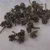 Flores Secas, Frutas Secas, Galhos de Pinha Conjunto Combinado, Pacote de Materiais para Artesanato Criativo DIY com Tema Floresta para Jardim de Infância