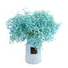Yunnan Kunming Dounan Céu Estrelado flores secas naturais pesando Jin vendendo buquê grande de sala de estar fresca para decoração de casa frete grátis