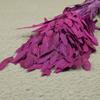 Flor mágica hierba de la pequeña esperanza eterna ramo flor real Natural Alto sentido ins estilo nórdico sala de estar decoración jarrón Flor eterna