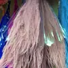 Hierba Barba de Dragón Eterna, Hierba de Junco, Flores Reales, Venta al por Mayor Fabricante de Yunnan, Serie Fuegos Artificiales de Ensueño, Materiales Florales para Cortinas de Boda, Decoración Suave