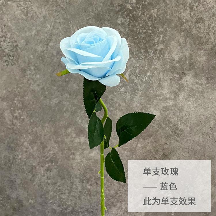 单支玫瑰-蓝色.jpg