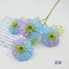 Flores Artificiales de Seda para Bodas, Pared de Flores de Fondo para Salón de Bodas, Arreglos Florales de Techo y Suelo, Flores Falsas de Clemátide de un Solo Tallo Estilo Europeo