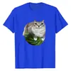 Camiseta Nueva con Estampado de Meme de Gato Sandía para Mujer, Moderna, Comercio Exterior, Holgada, Casual, Deportiva, Manga Corta