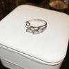 [Electrochapado en Oro Real] Anillo Simple de Hojas de Zirconia de Dongdaemun Nicho Lujo Ligero Elegante Moda [Protección Ambiental]]