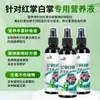 Antúrio Antúrio Branco Solução Nutritiva Especial Tipo Concentrado Foliar Solúvel em Água Nutriente para Plantas Floração Flor Promoção Fabricante