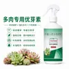 Solución Nutritiva Especial para Suculentas Fertilizante Concentrado Hidrosoluble Promueve la Germinación de Brotes Laterales y la Formación de Hojas Densas