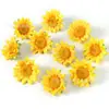 Flores Artificiales, Cabezas de Flores Naranja-Amarillas, Materiales para Manualidades, Flores Falsas, Flores Artificiales con Acabado de Alta Gama, Flores Decorativas para Arreglos de Escenas Realistas