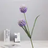 Decoração de janela com bola de dente-de-leão