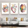 Escritório de Educação Médica Tela Pintura em Tela de Anatomia Humana Músculo Pintura Artística Pintura Aquarela Personagem Pintura Decorativa Núcleo