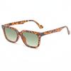 Nuevas gafas de sol clásicas retro de moda en caja, estilo europeo y americano, para tiro callejero, gafas de sol anti-UV que combinan con todo.