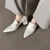 Mocasines Elegantes y Profesionales de Piel de Vaca con Punta Aguda y Tacón Alto 2026 Primavera Tacón Grueso Zapatos de Piel Completamente de Piel Genuina Zapatos de Corte Bajo Individuales para Mujer