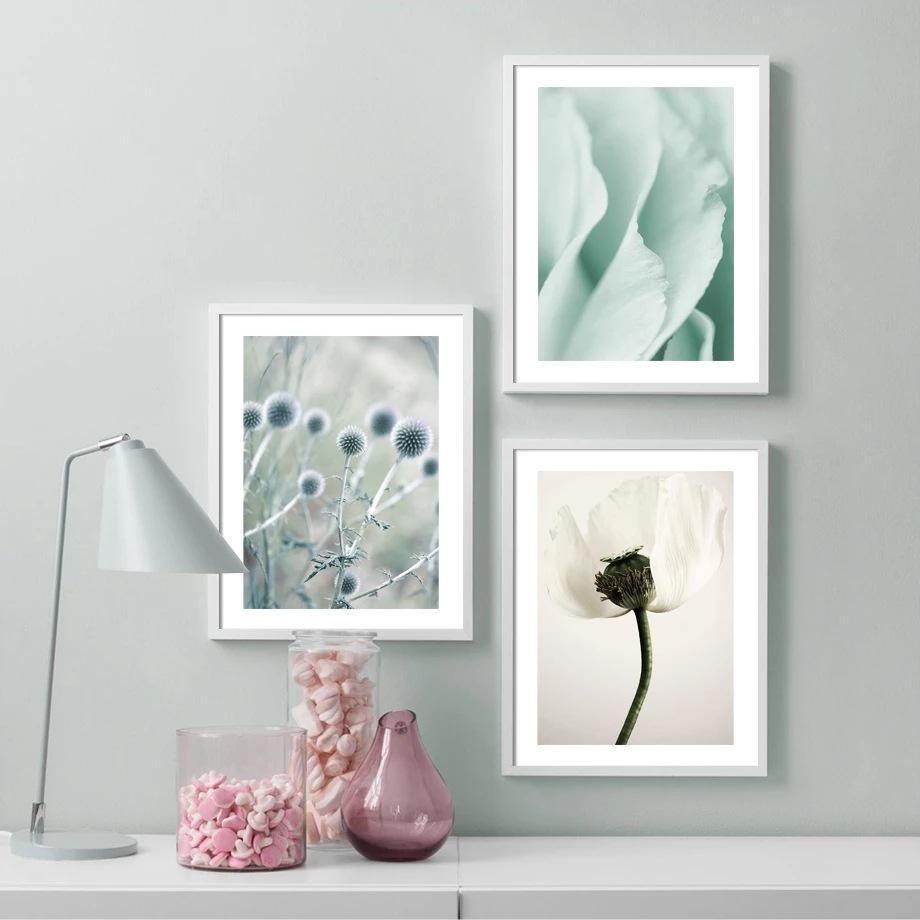 Bloom-Flower-Poppies-Misty-Pal