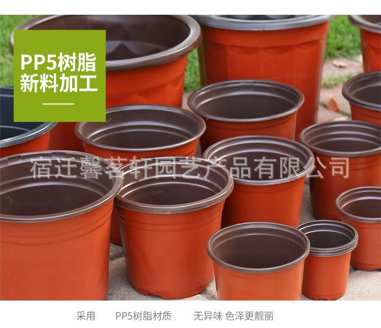 13232709986_1576707826