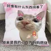 Regalo Cálido de Cumpleaños para el Día de la Madre para Mamá Cojín Decorativo para Sofá de Sala de Estar Almohada de Regalo