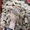 Gastrodia elata Artículos Secos Especiales Pastillas de Gastrodia elata Productos Genuinos de Yunnan Zhaotong Pastillas de Gastrodia elata 500g Puede Vencer al Polvo de Gastrodia elata