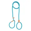 Corda-P para cachorro cor de macaron, corda redonda de PP durável, guia de treinamento para cães, guia de passeio para animais de estimação com corrente P integrada, em estoque