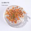 Arte de Unhas Flores Secas Atacado Flor de Renda Celebridade Cibernética Explosões DIY Japonês Pétala Decoração Padrão Unha Pequenos Acessórios