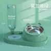Comedero para gatos y perros, dispensador automático de agua para mascotas, doble cuenco cerámico integrado, comedero anti-derrames para gatos y perros, accesorios para mascotas para gatos
