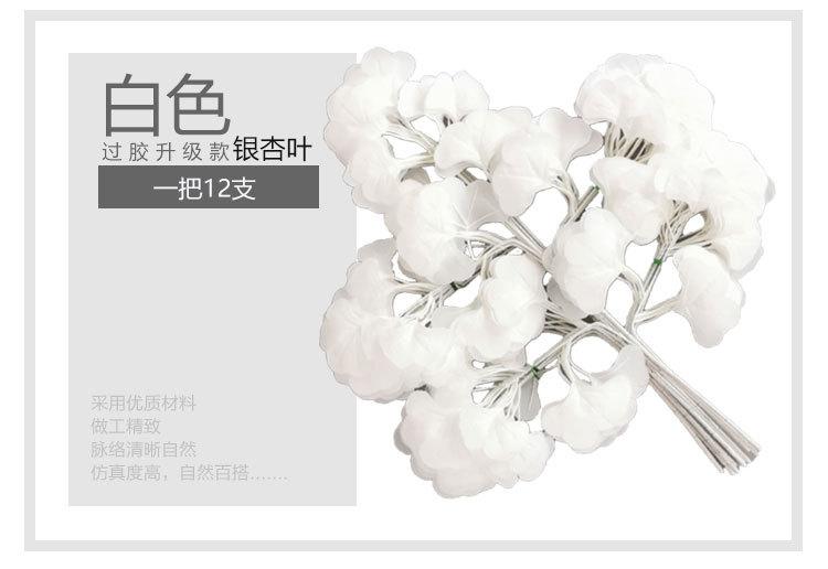 银杏叶详情_08.jpg