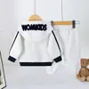 Conjunto de Dos Piezas Sudadera Bordada de Cachorro y Gatito para Bebé de Primavera y Otoño Ropa Deportiva Casual para Salidas de Bebé