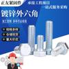 Pernos Galvanizados con Hexágono Externo, Tornillos Azules, Tornillos de Hierro Galvanizado con Zinc Blanco, Acero al Carbono Grado 4.8 Gb30, 30 Pernos, Tornillos Galvanizados