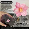 Colorante para flores, absorbente de color para rosas, solución absorbente de color, tinte, colorante para ramos y floristerías