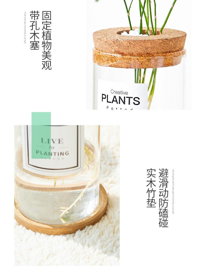 水培详情页_12.jpg