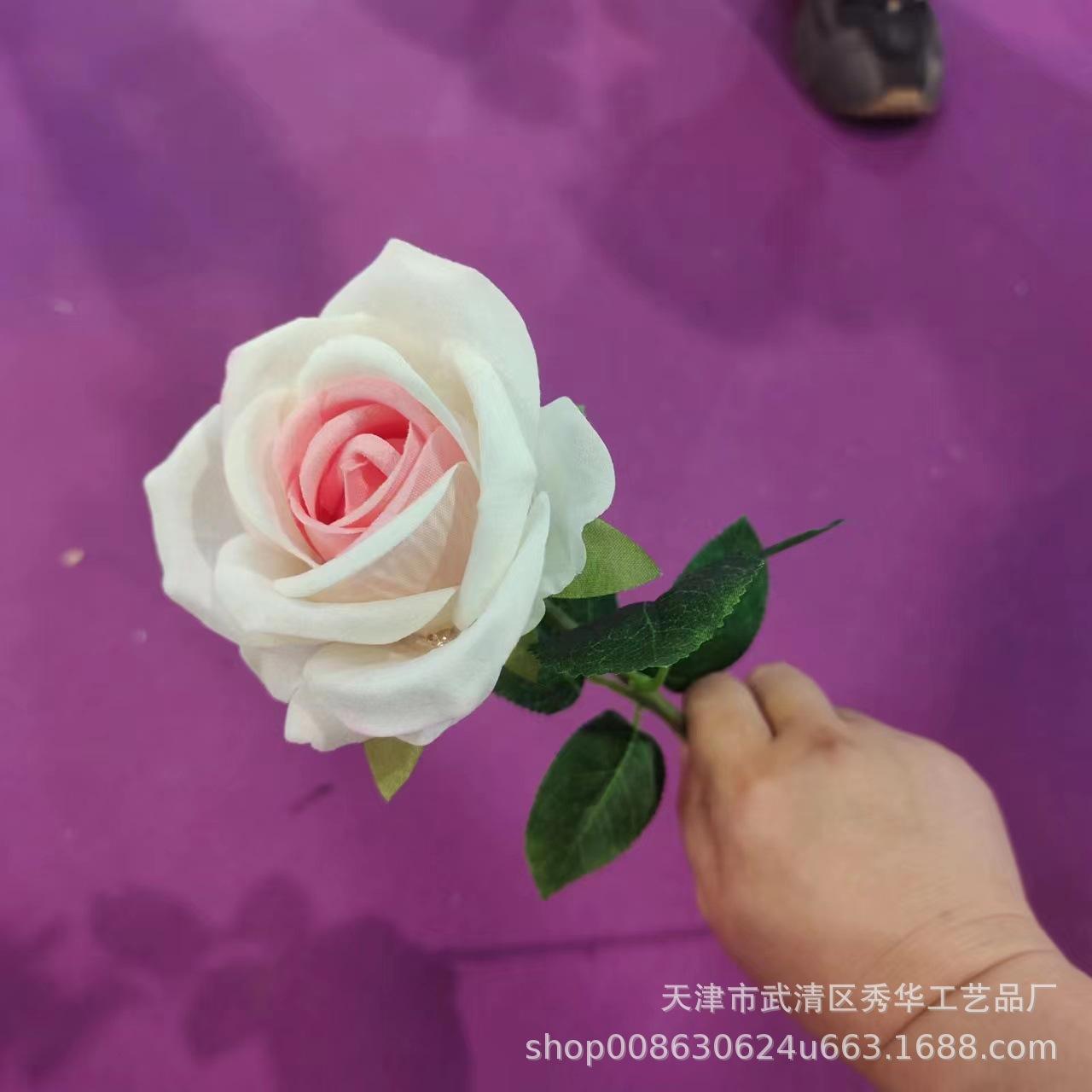 杨玉刚玫瑰 花心粉