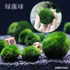 Tanque de Peces Acuario Paisajismo Plantas Acuáticas Bolas de Algas Marinas Bolas Ecológicas Bolas de Algas Verdes Paisajismo Botellas Ecológicas Bolas de Baño Verdes Bolas de Algas Marinas
