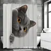 Cortina de Chuveiro Encantadora de Gato British Shorthair Cinza Conjunto de Quatro Peças Divisória de Banheiro Itens de Decoração para Casa com uma Foto do Produto Acabado