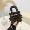 Bolso Súper Trendy Estampado de Leopardo 2026 Otoño e Invierno Nuevo Estilo Coreano de Nicho Bolso Mini de Hombro Cruzado Bolso de Moda para Mujer