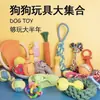 Brinquedos para Cachorro, Brinquedos Resistentes a Som e Mordidas, Pelúcia de Corda de Algodão Ursinho Teddy Corgi, Para Roer e Limpar os Dentes, Treinamento Interativo para Cães Pequenos e Médios