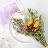 Moderno Sencillo ins Ramo de Flores Secas Naturales Marioneta para Abrazar Decoración del Hogar Adornos Creativos DIY para Sala de Estar