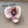 Cabeça de Flor de Orquídea Phalaenopsis Artificial, Textura de Película Impressa em 3D, Buquê Exquisito para Decoração de Casamento e Lembrança